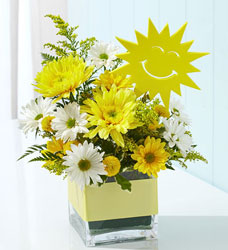 It's Your Sunny Day Flower Power, Florist Davenport FL